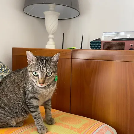 Casa E Se Vi Pare 아파트 시라쿠사